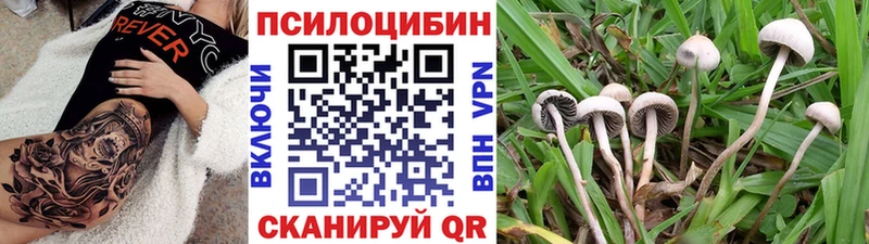 наркота  Юрьевец  Псилоцибиновые грибы Magic Shrooms 